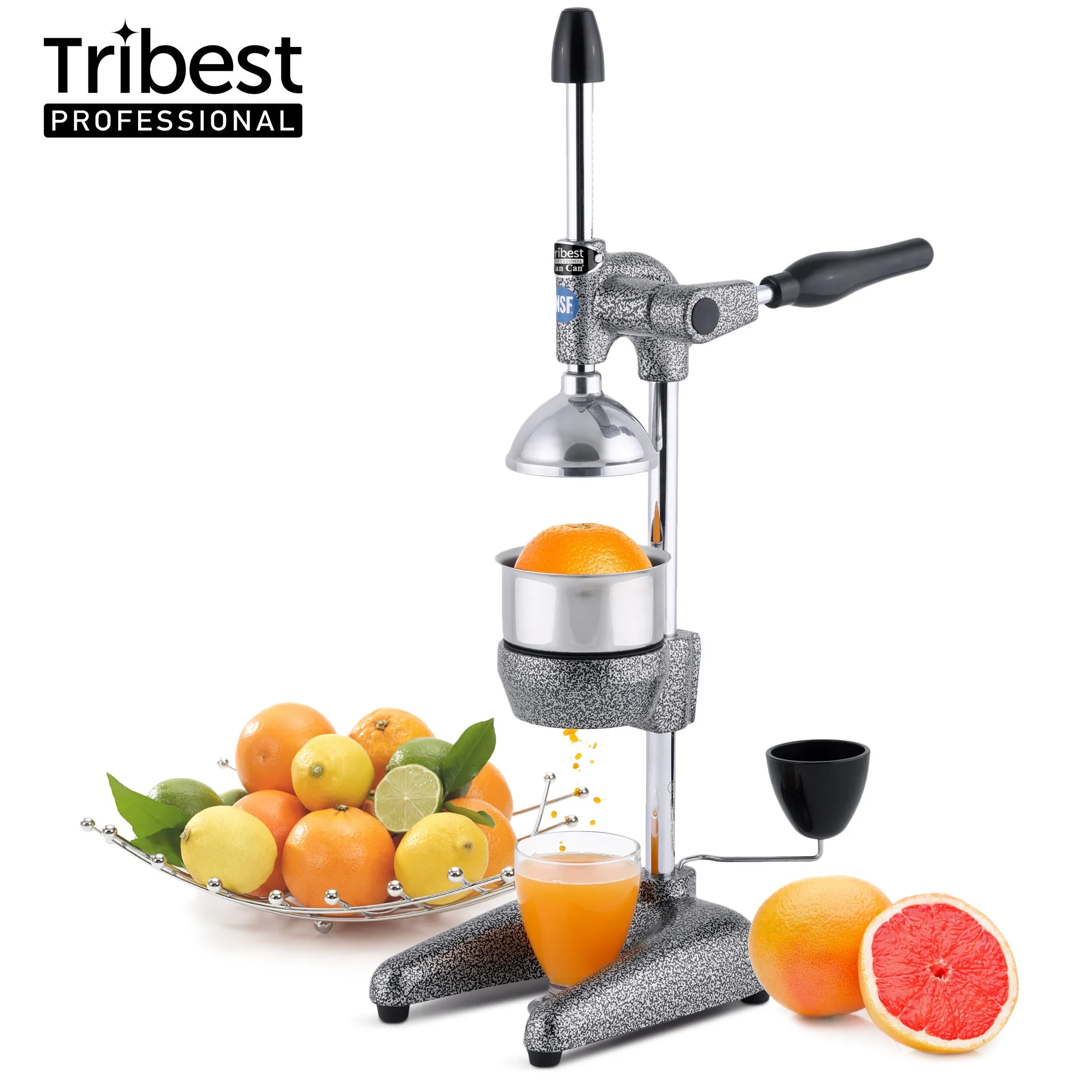 Refurbished Manual Juice Press