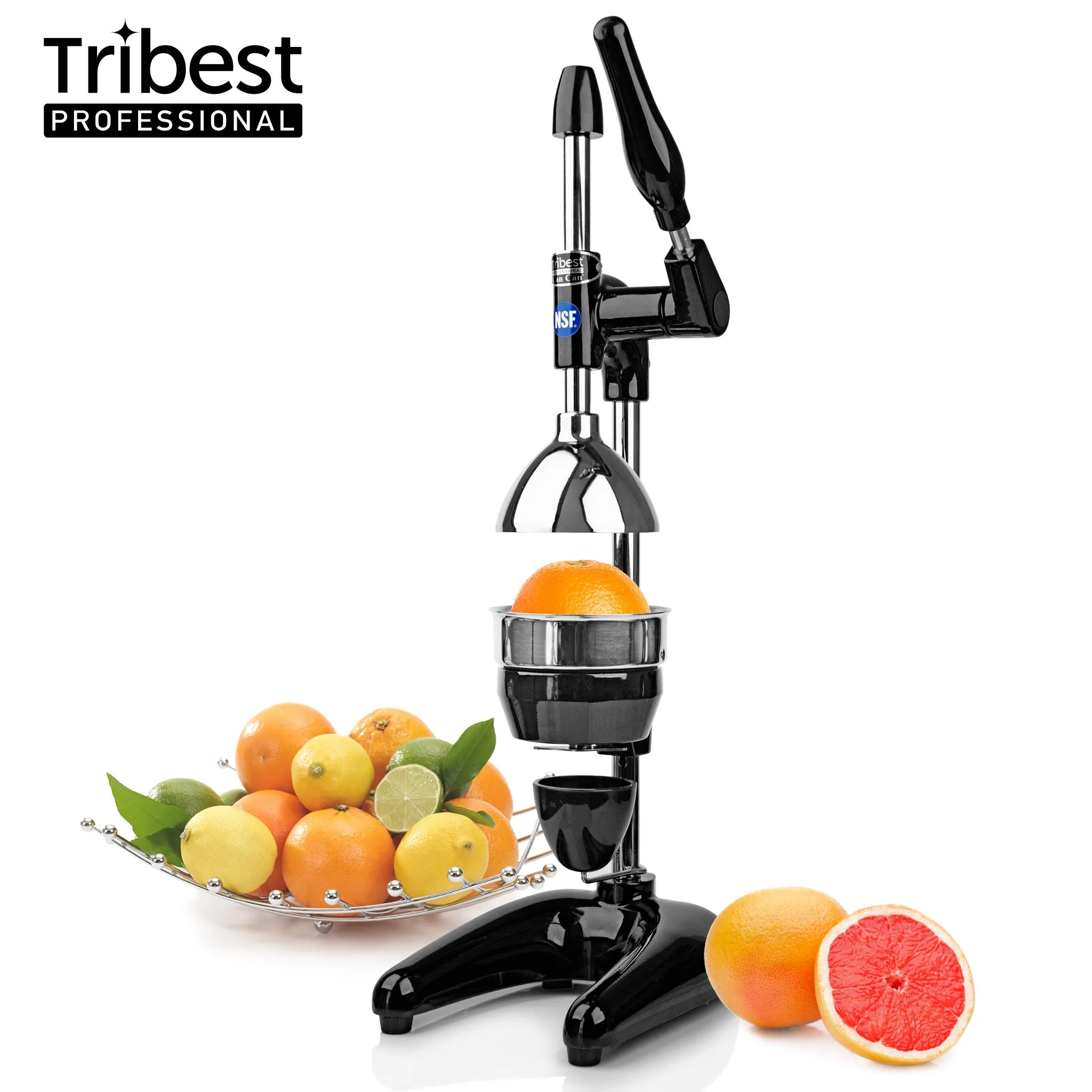 Refurbished Manual Juice Press