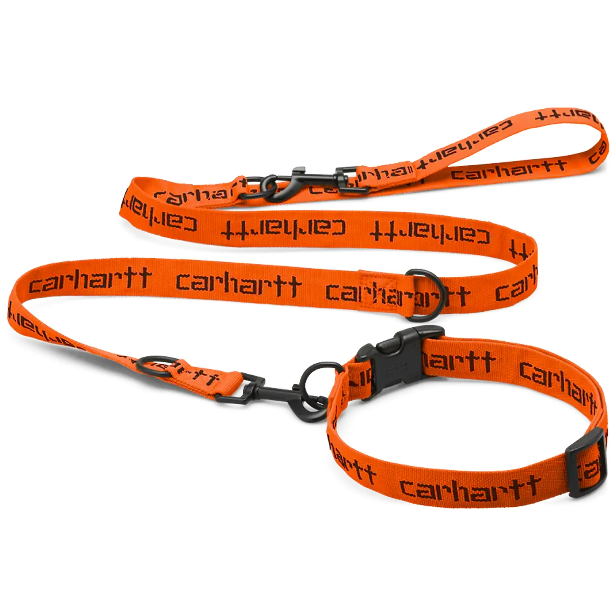 Script Dog Leash & Collar